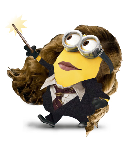 Why is there no female Minion?