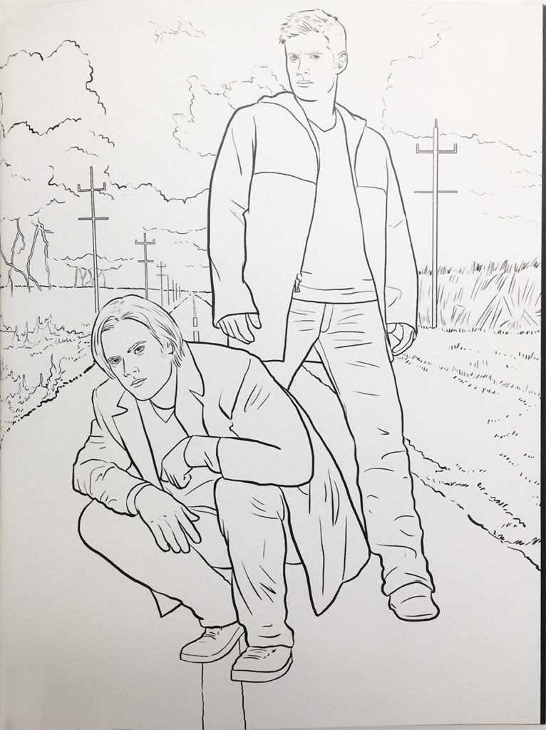 Adult Coloring Book Reviews for All Ages