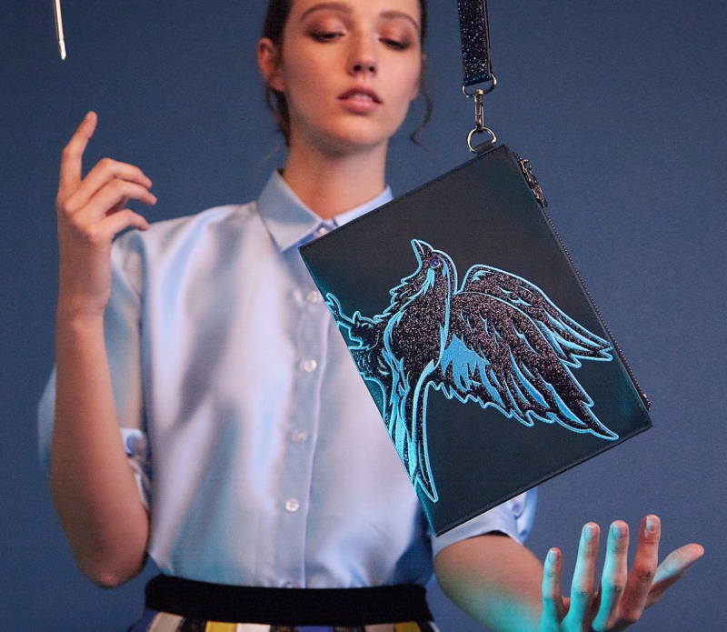 Ravenclaw House Pouch Danielle Nicole