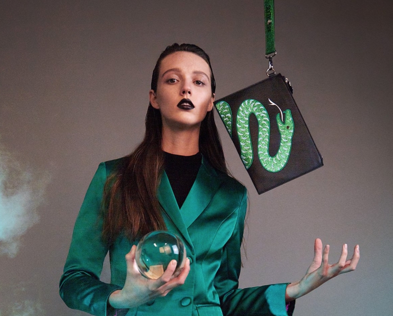 Slytherin House Pouch Danielle Nicole