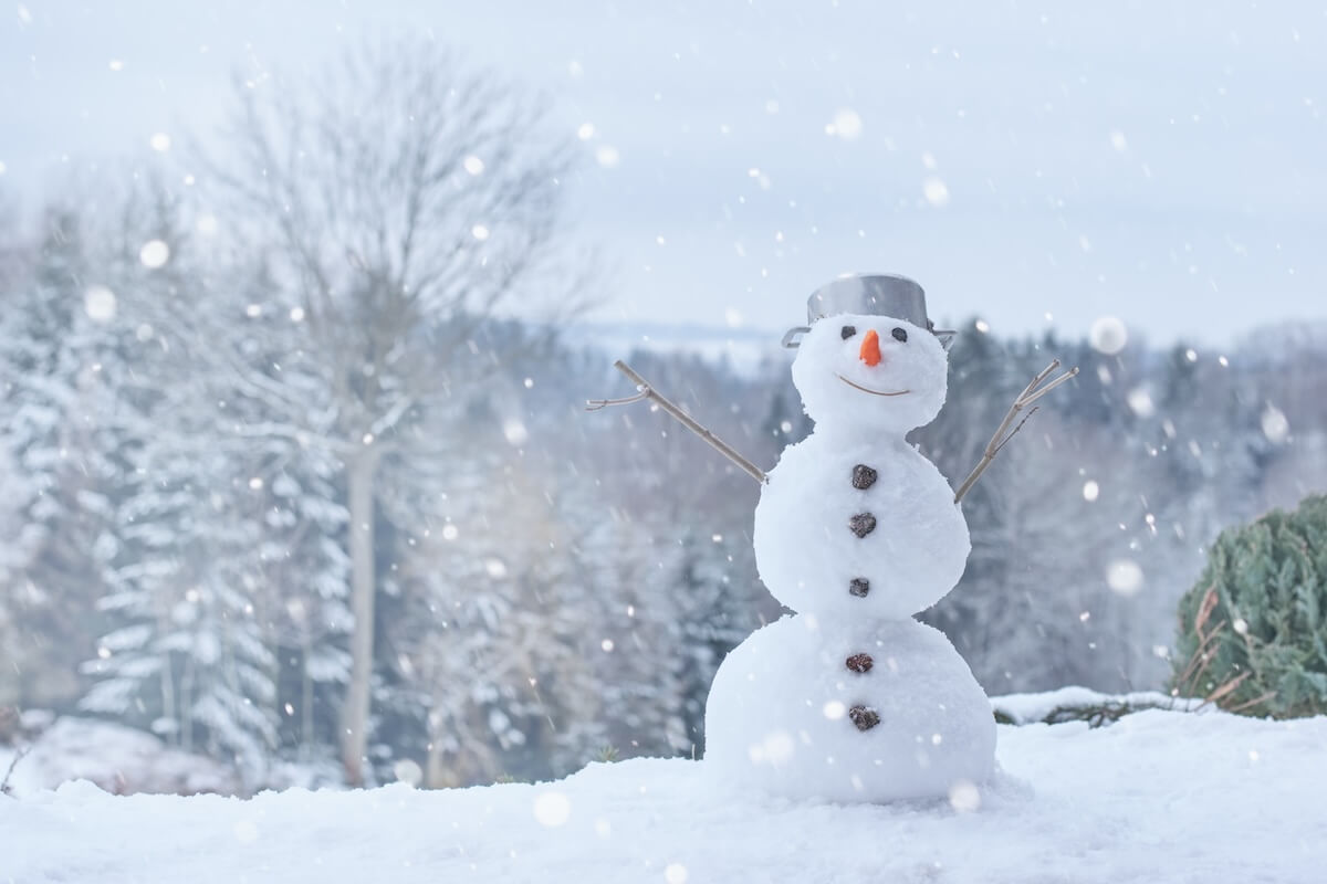 Shutterstock: Lovely smiling snowman in the winter landscape.