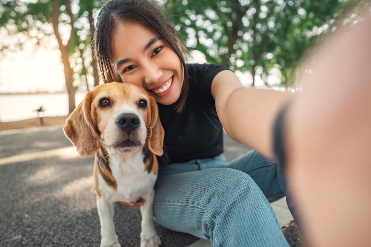 Shutterstock: Selfie portrait of young asian woman with her beagle dog, in the park in summer.