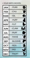 Chart Reveals Your Pokémon Name, Type and Creature