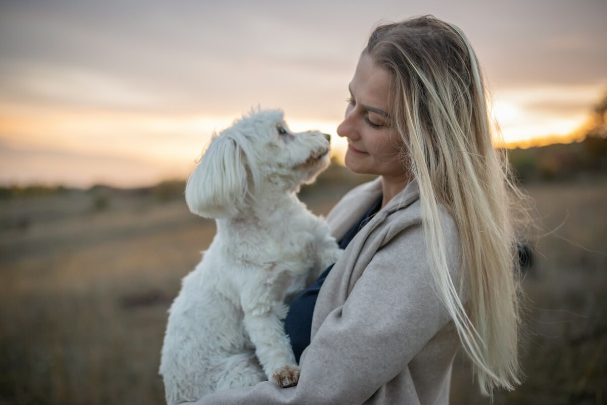 Unsplash: Woman with dog in field by Catalin Pop