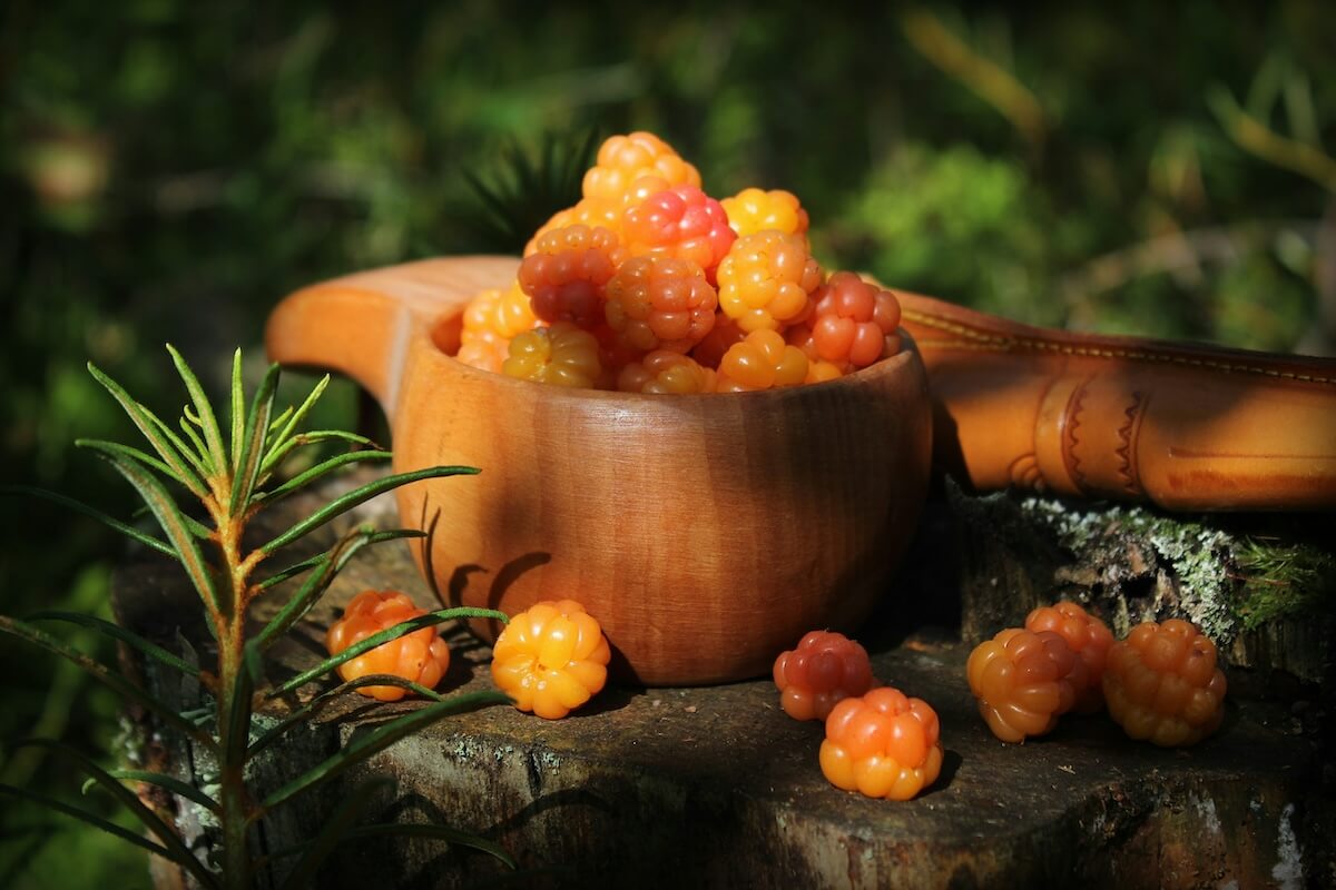 Unsplash: Cloudberries in a cup