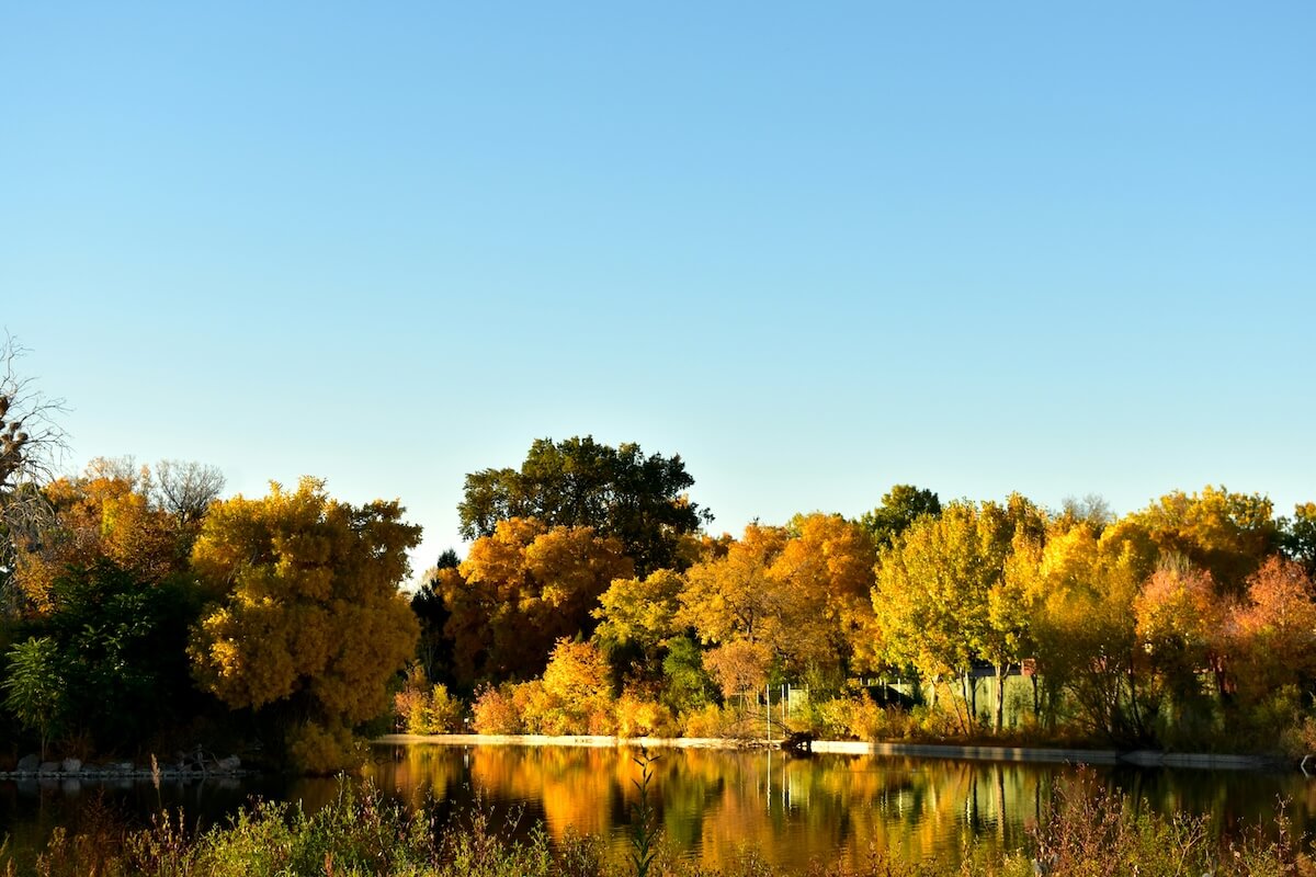 Unsplash: Denver, Colorado in fall by Doni Rath