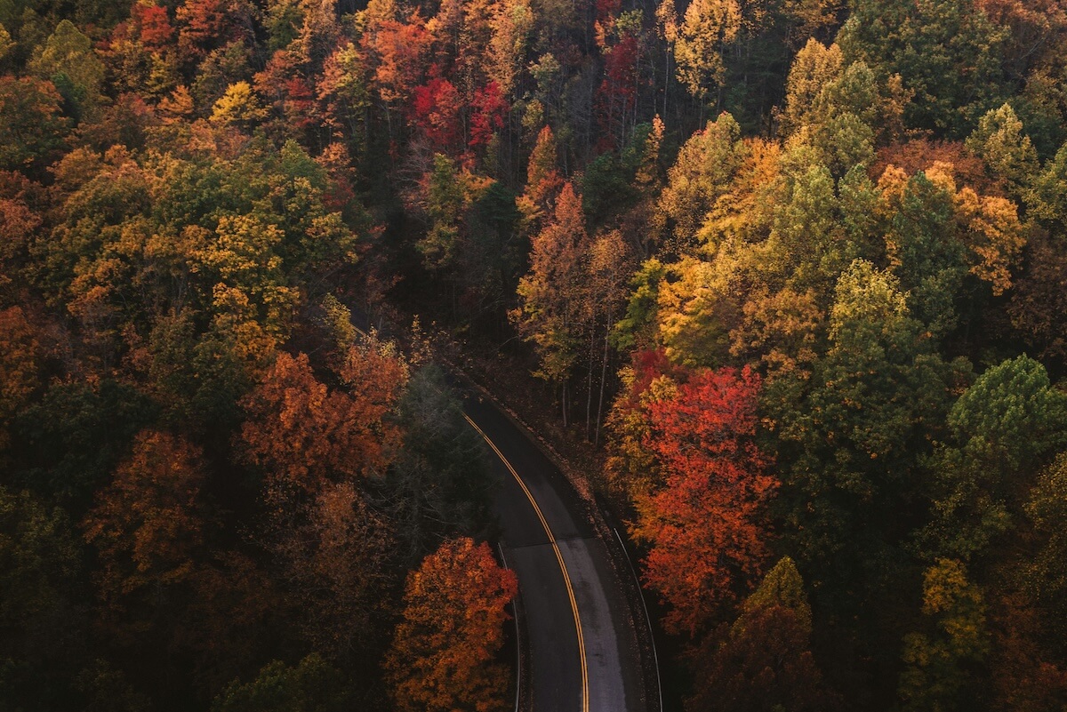 Unsplash: Gatlinburg, Tennessee in fall by Chad Madden