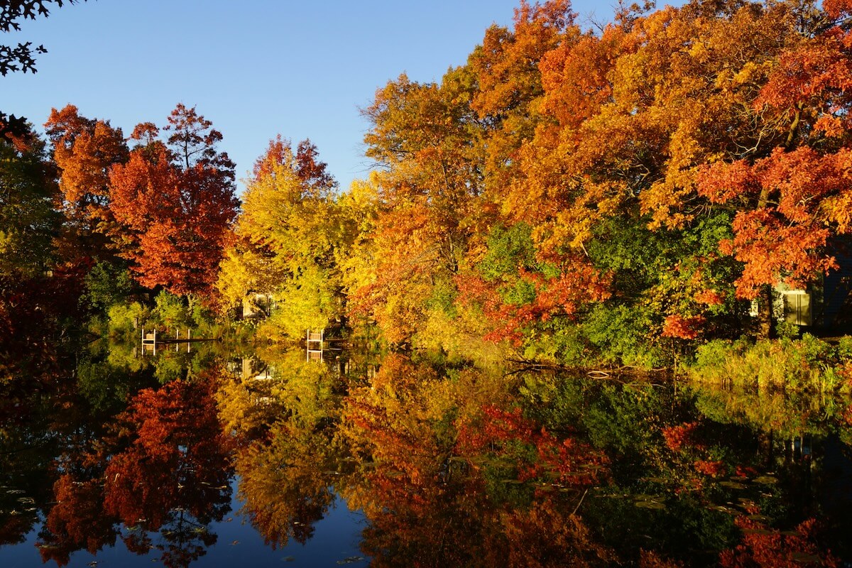 Unsplash: Minneapolis, Minnesota fall by Rod M