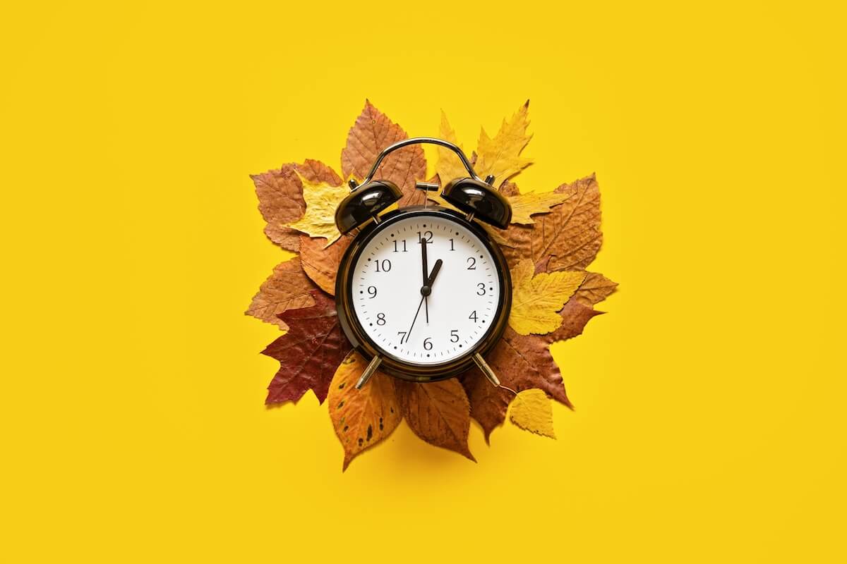 Shutterstock: Daylight saving day. Fall Back. Black Alarm clock and autumn leaves on yellow background. Daylight saving time end