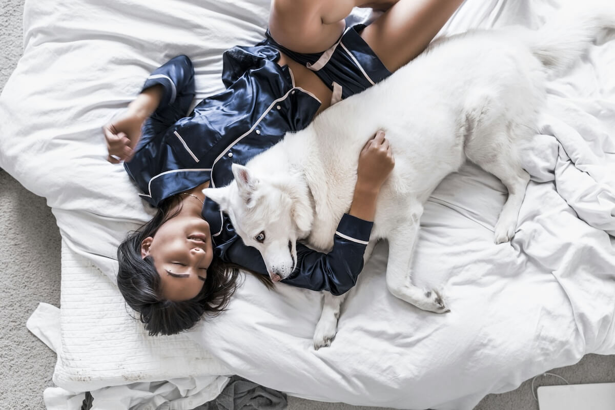 Unsplash: Woman in pajamas on bed with white dog by Kristina Petrick