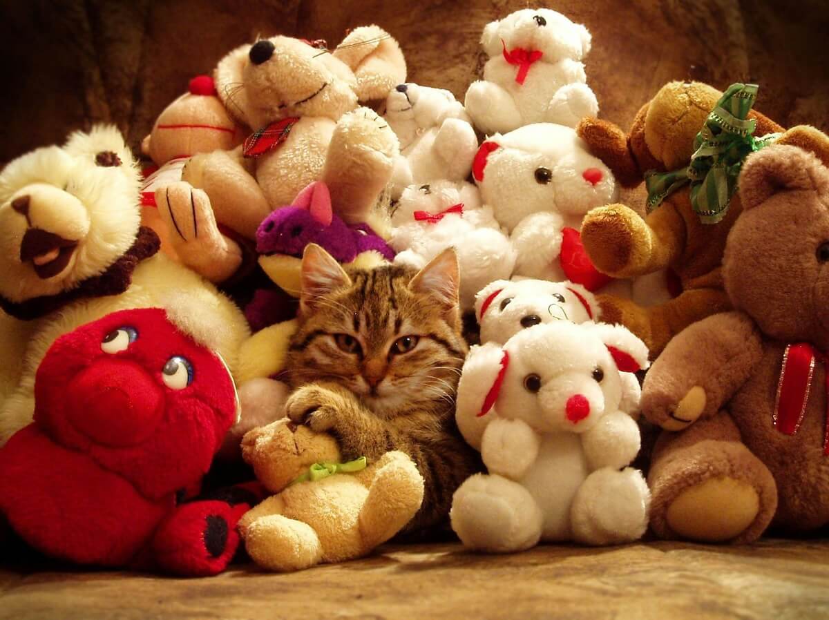 Unsplash: Cat hiding among stuffed animals by Nikola Bacanek