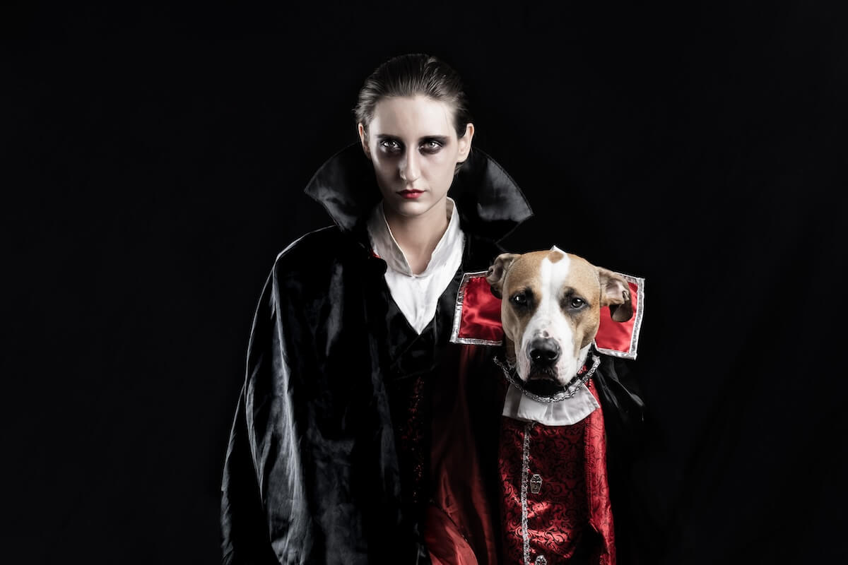 Shutterstock: Woman and her dog in similar vampire costumes for halloween. Young female and her pet puppy dressed up in matching Dracula costume, posing in black studio background