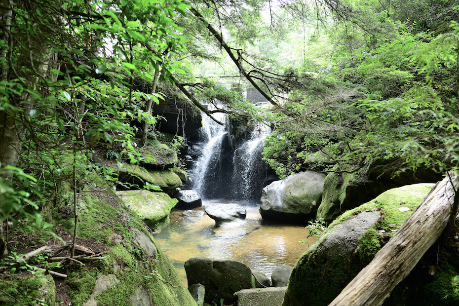 Shutterstock: Dismals Canyon Waterfall, Alabama