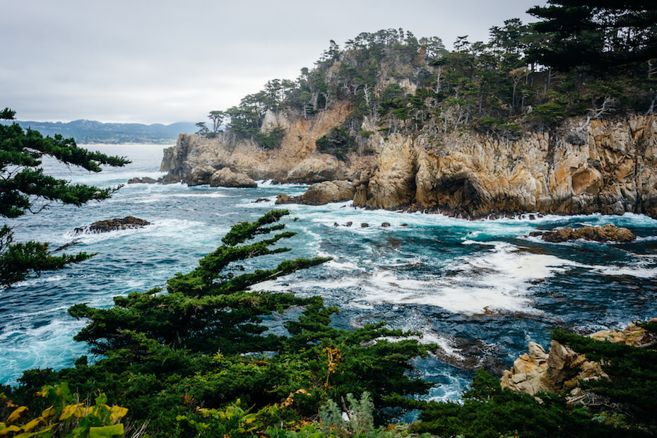 Shutterstock: Point Lobos State Natural Reserve, California
