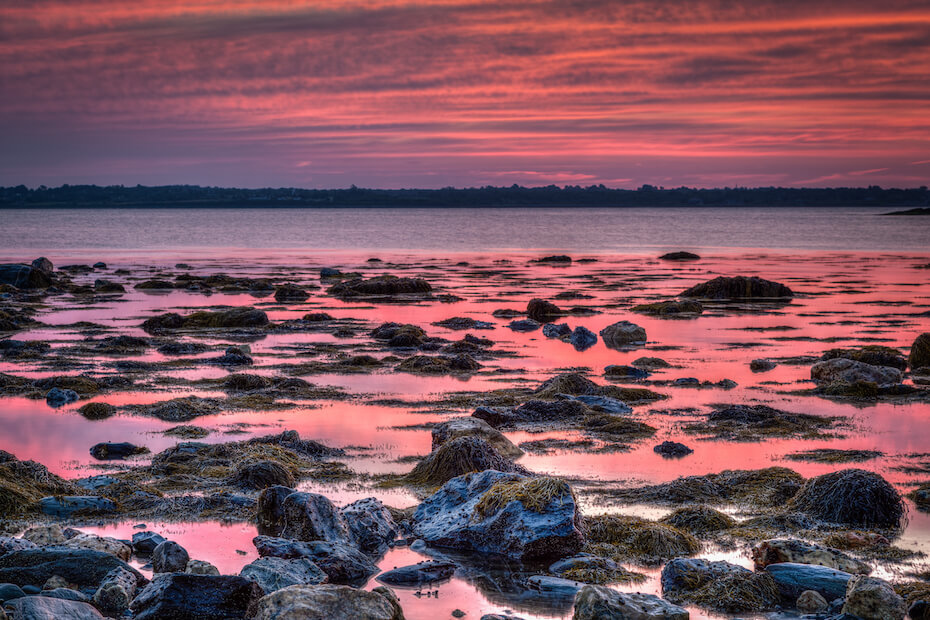 Shutterstock: Sachuest Point Wildlife Refuge, Rhode Island