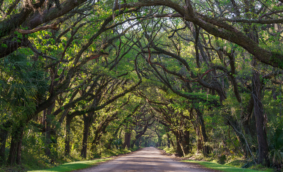Shutterstock: Botany Bay, South Carolina