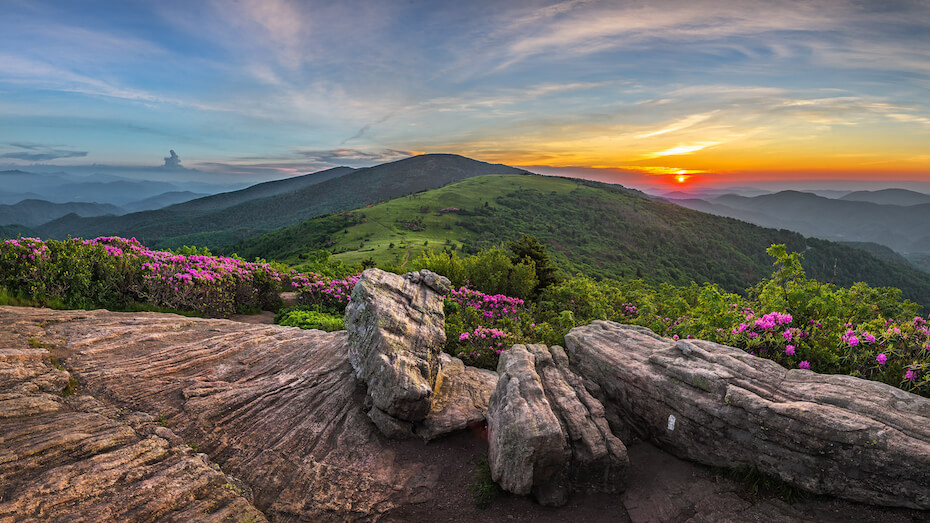 Shutterstock: Roan Mountain State Park, Tennessee