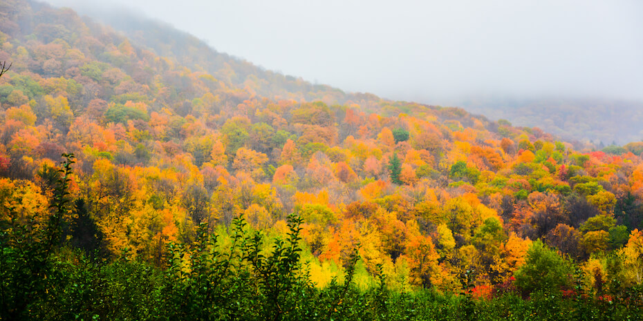 Shutterstock: Bennington, Vermont