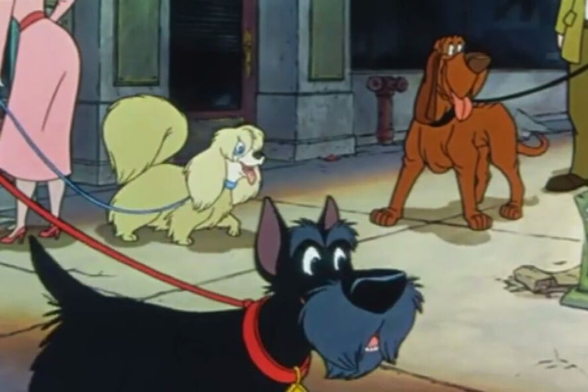 Olive and Company: Peg, Jock and Trusty