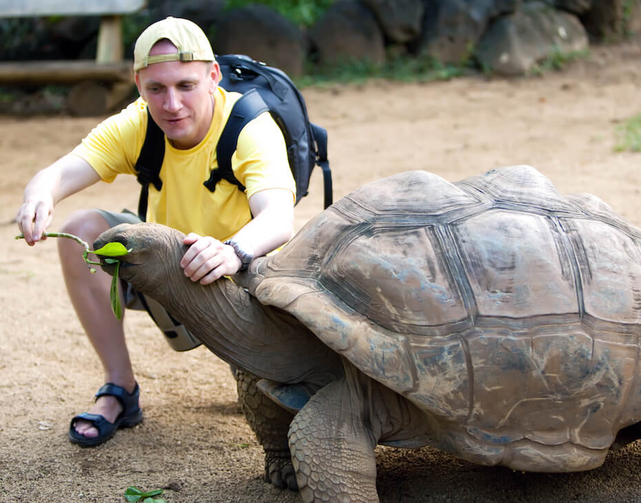 Shutterstock: Galapagos giant tortoise