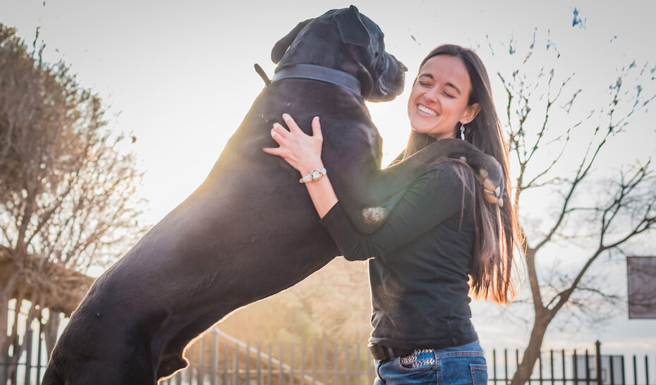 Shutterstock: Woman with giant Great Dane