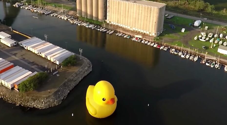 youtube-dan-oshier-productions-mama-duck-101620