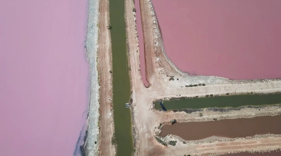 YouTube fore to four gold australian pink lake