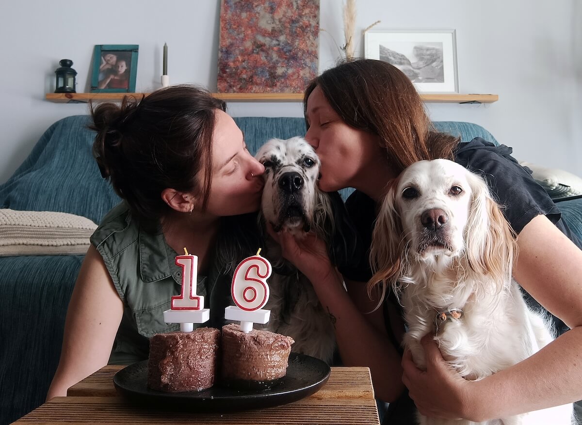 Shutterstock: Two women celebrate a dog's 16th birthday with cake and kisses.