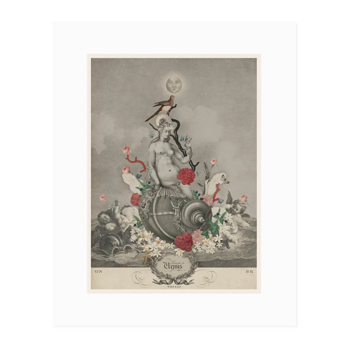 Open Sea Design Co Triumph of Venus