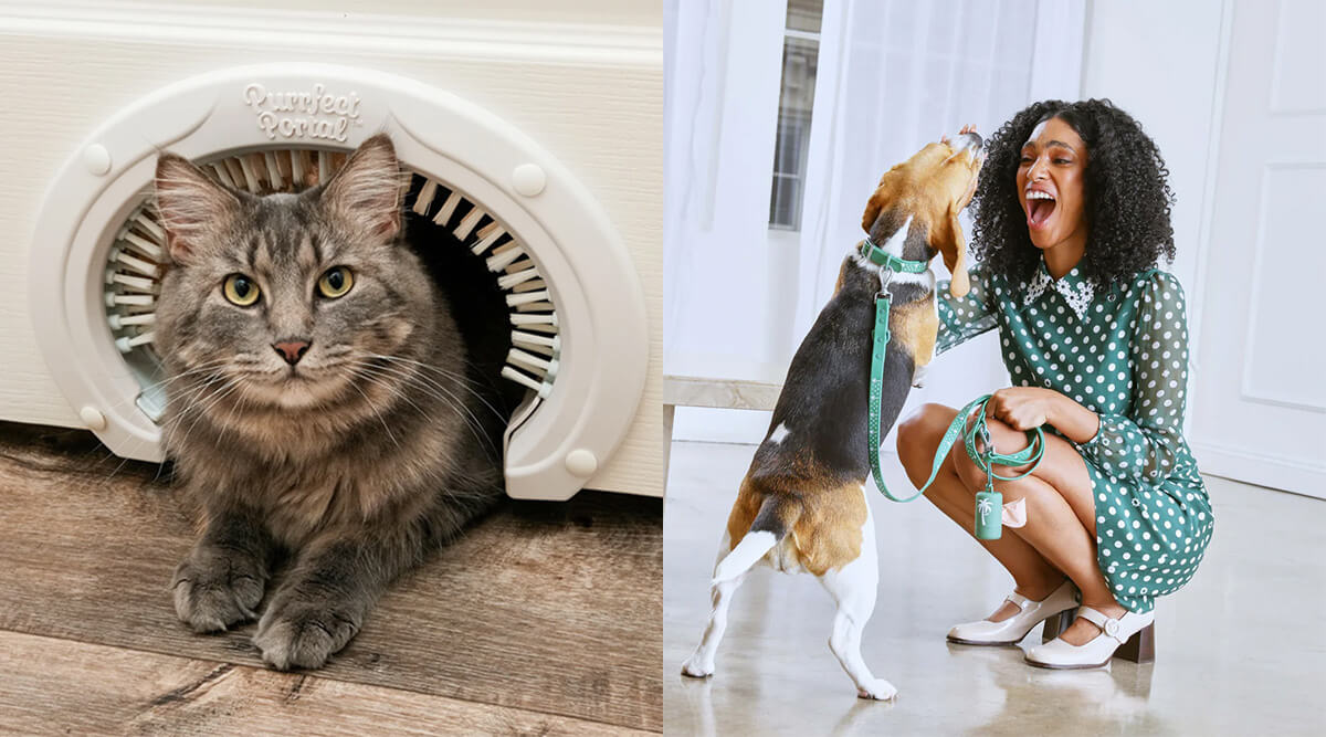 This Year's Best Gifts for Pet Parents