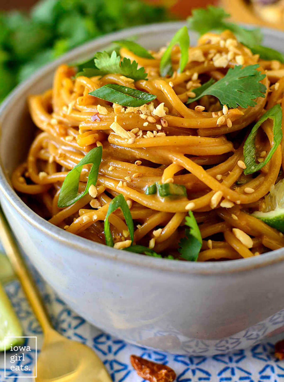 sesame peanut sauce noodles