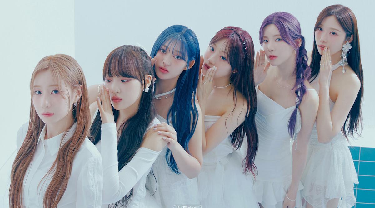 cignature-sweetie-but-saltie-