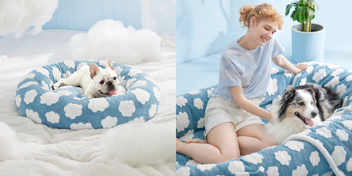 The best gifts for dog lovers for international dog day