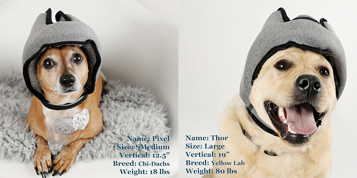 PAWNIX Noise-Canceling Headset