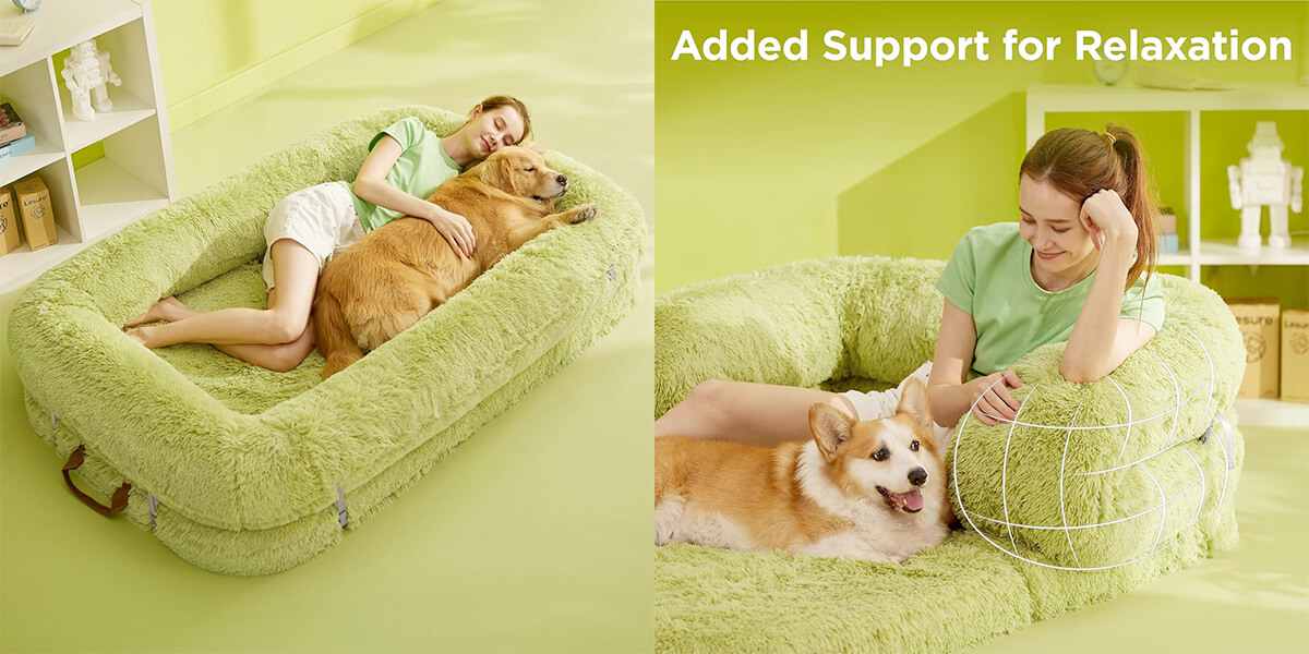 Lesure Foldable Human Dog Bed