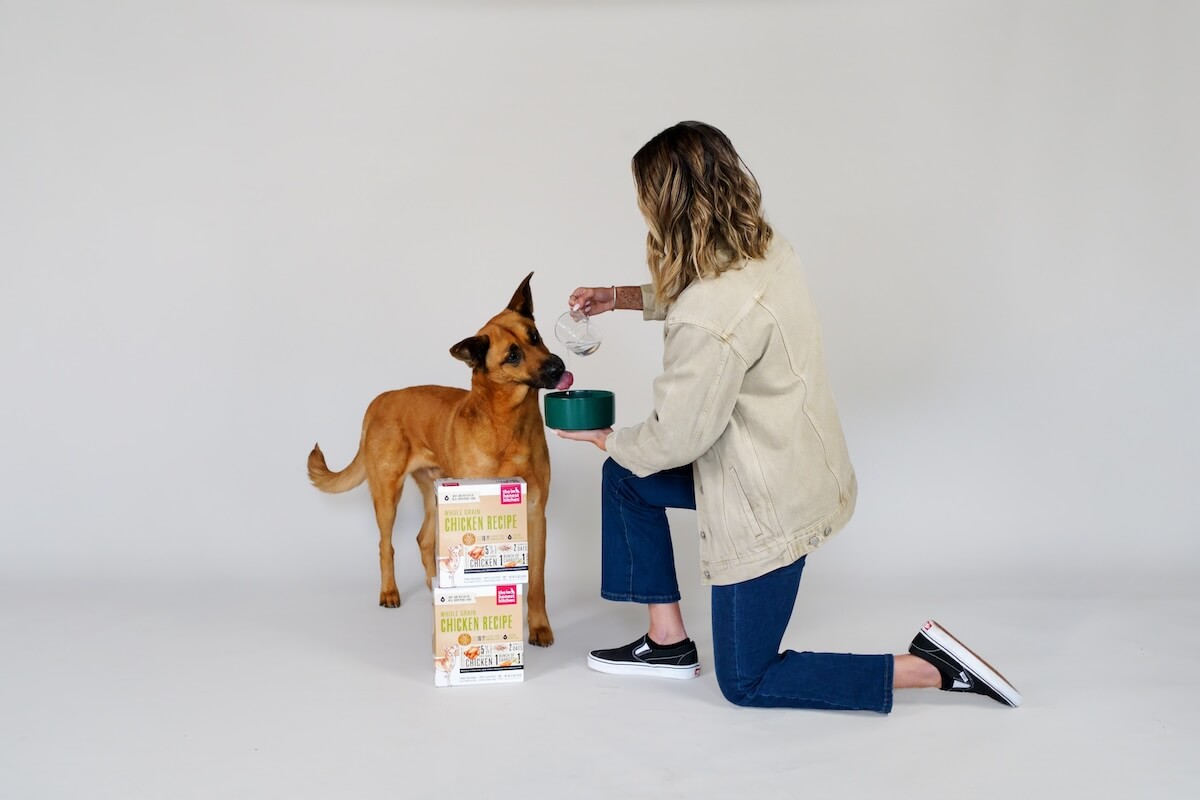 The Honest Kitchen: Dog getting water