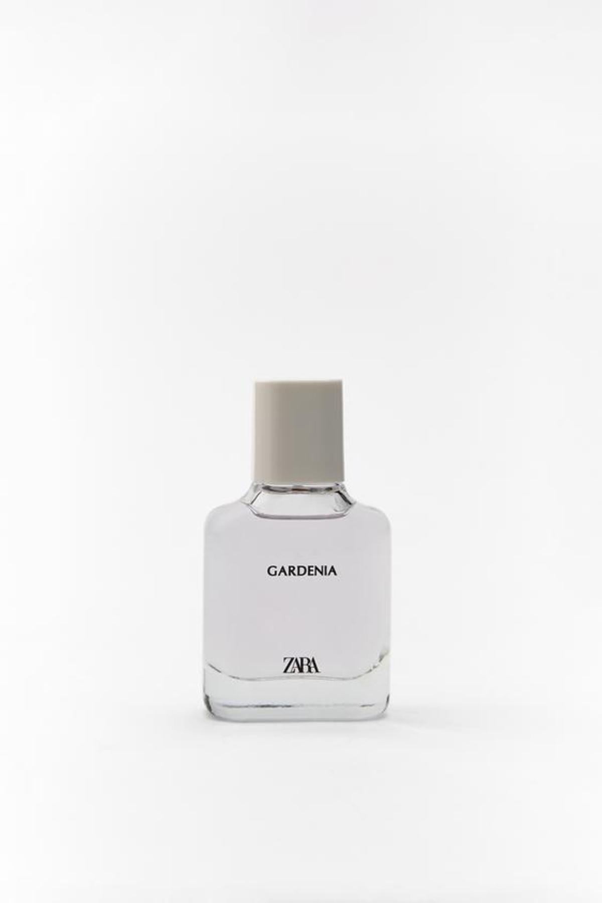 zara gardenia