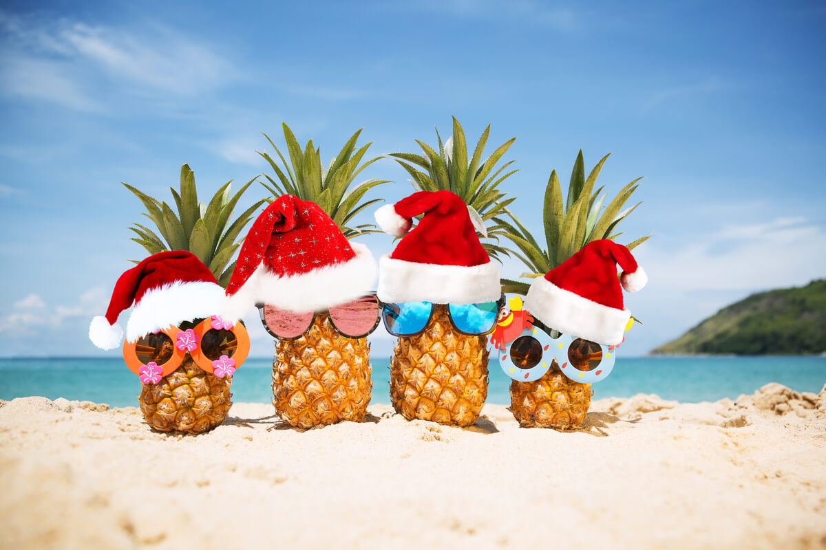 pineapples wearing a santa hat