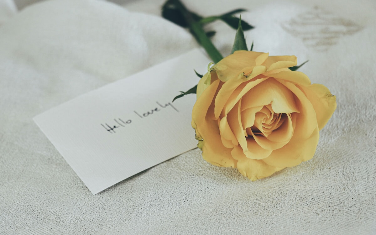 Unsplash: Romantic rose and handwritten letter by debby hudson