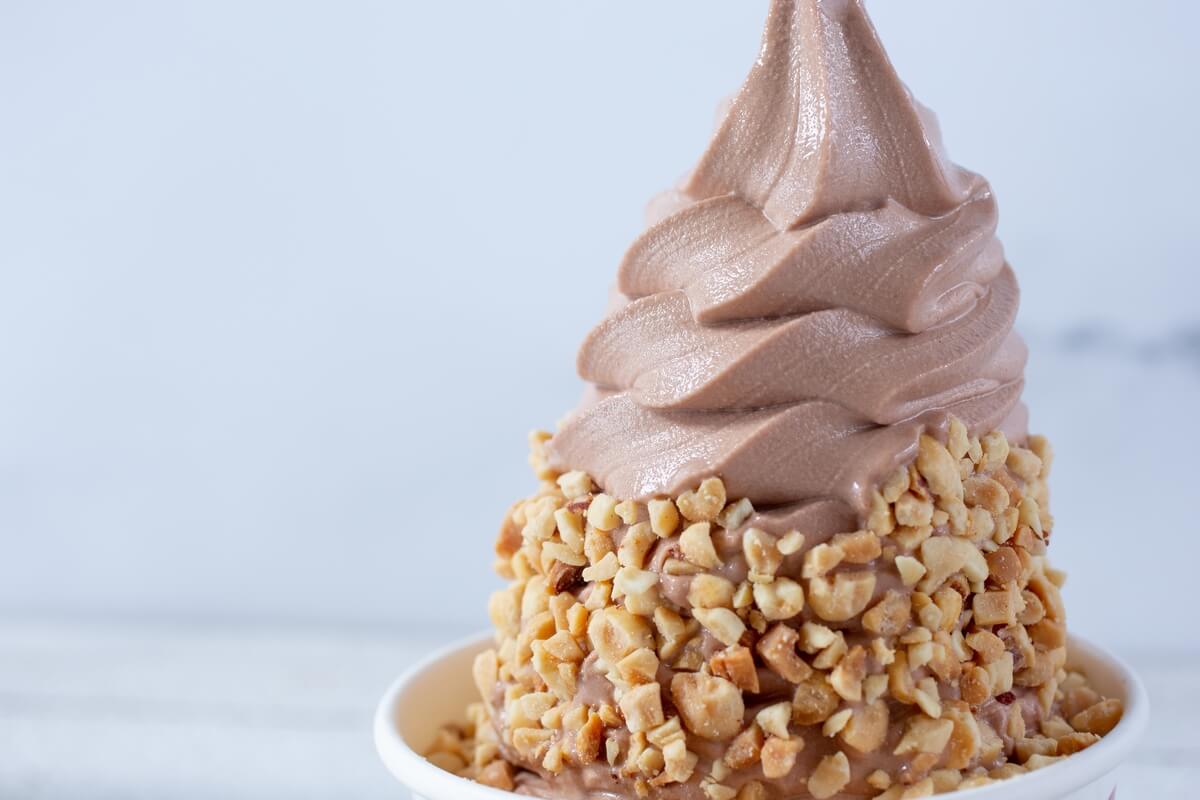 chocolate froyo with nuts