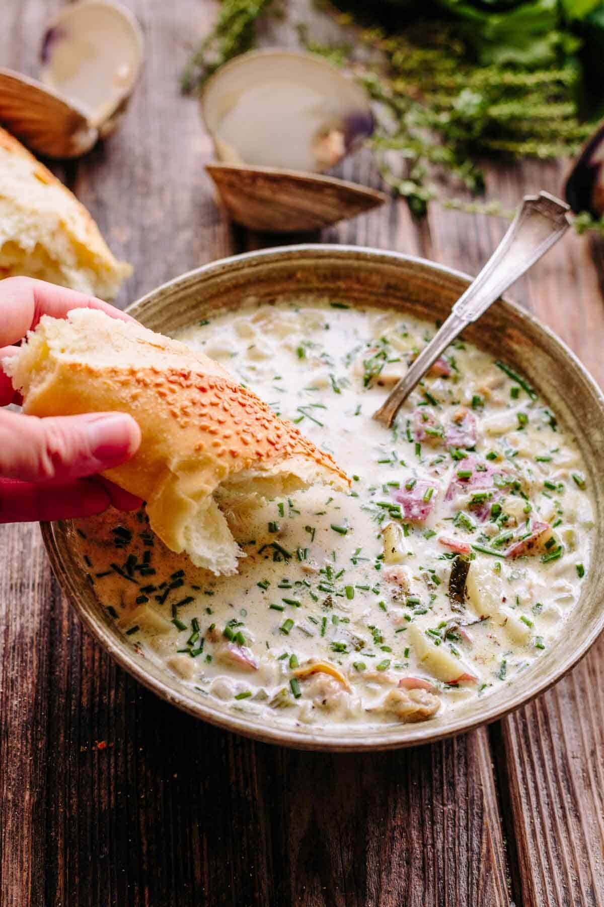 coley cook new england clam chowder