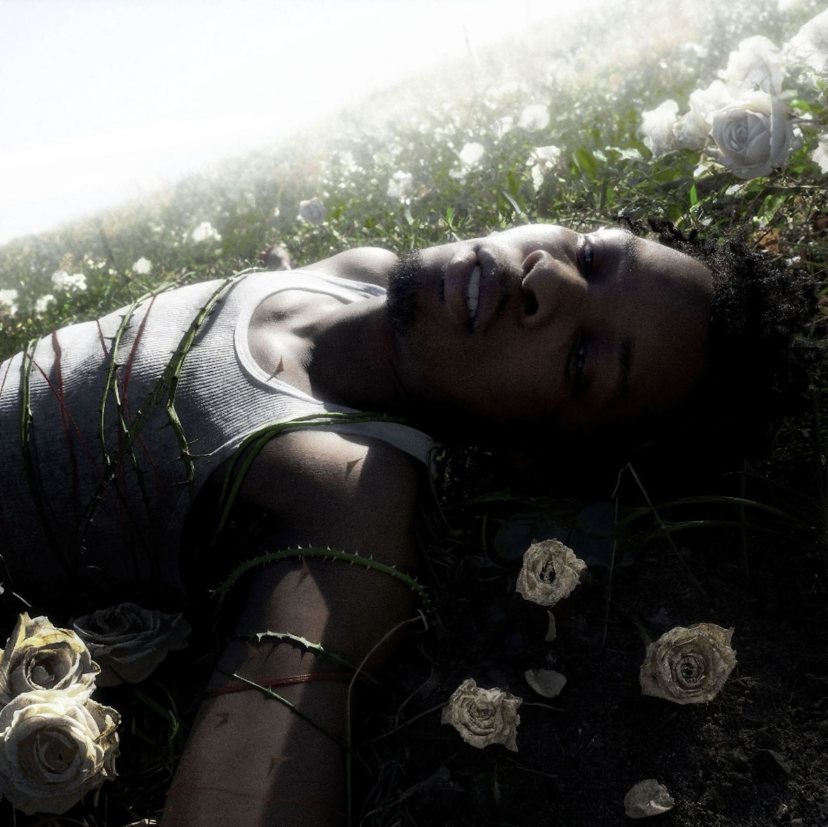 d4vd withered album cover