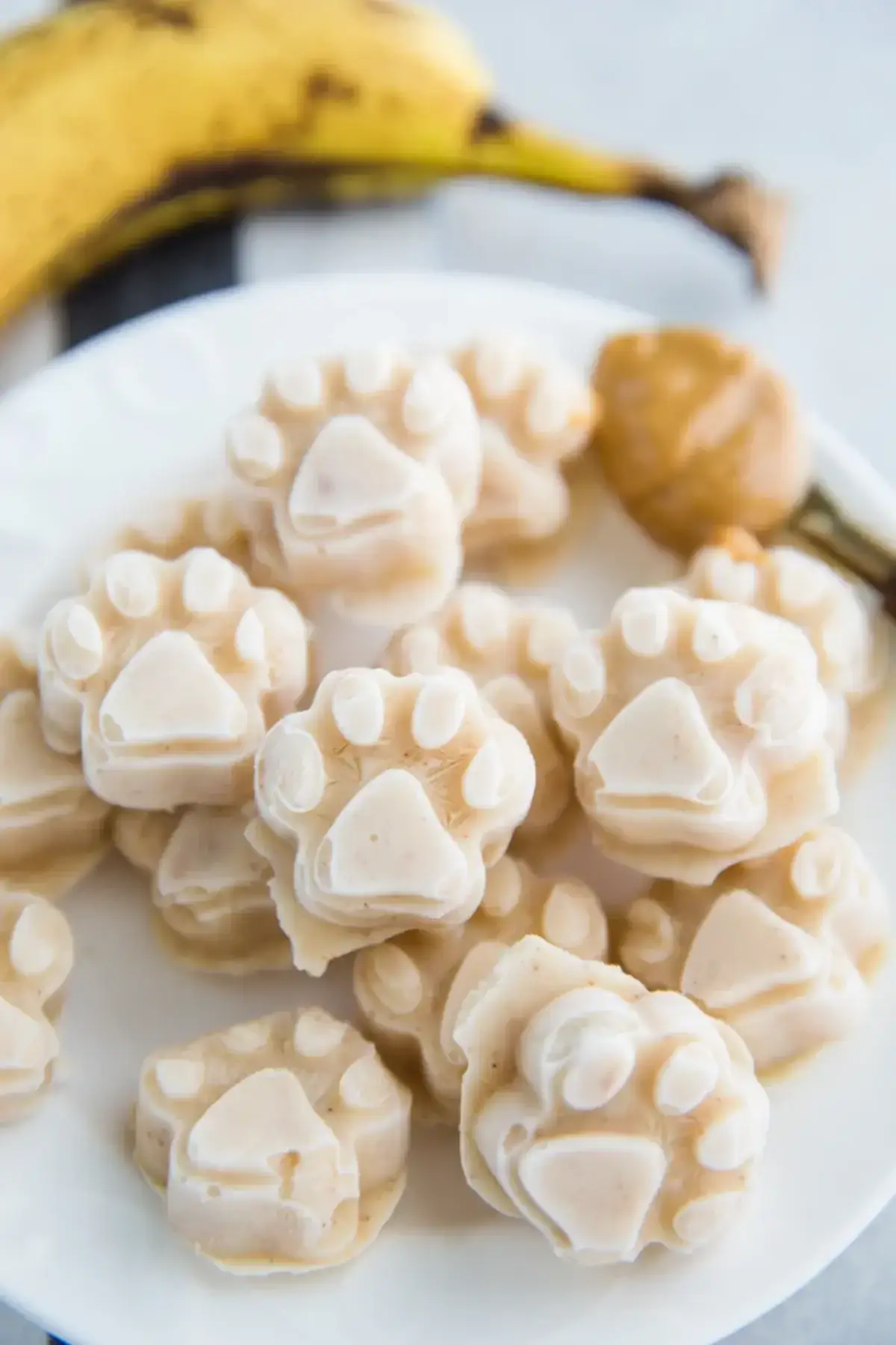 food with feeling dog ice cream