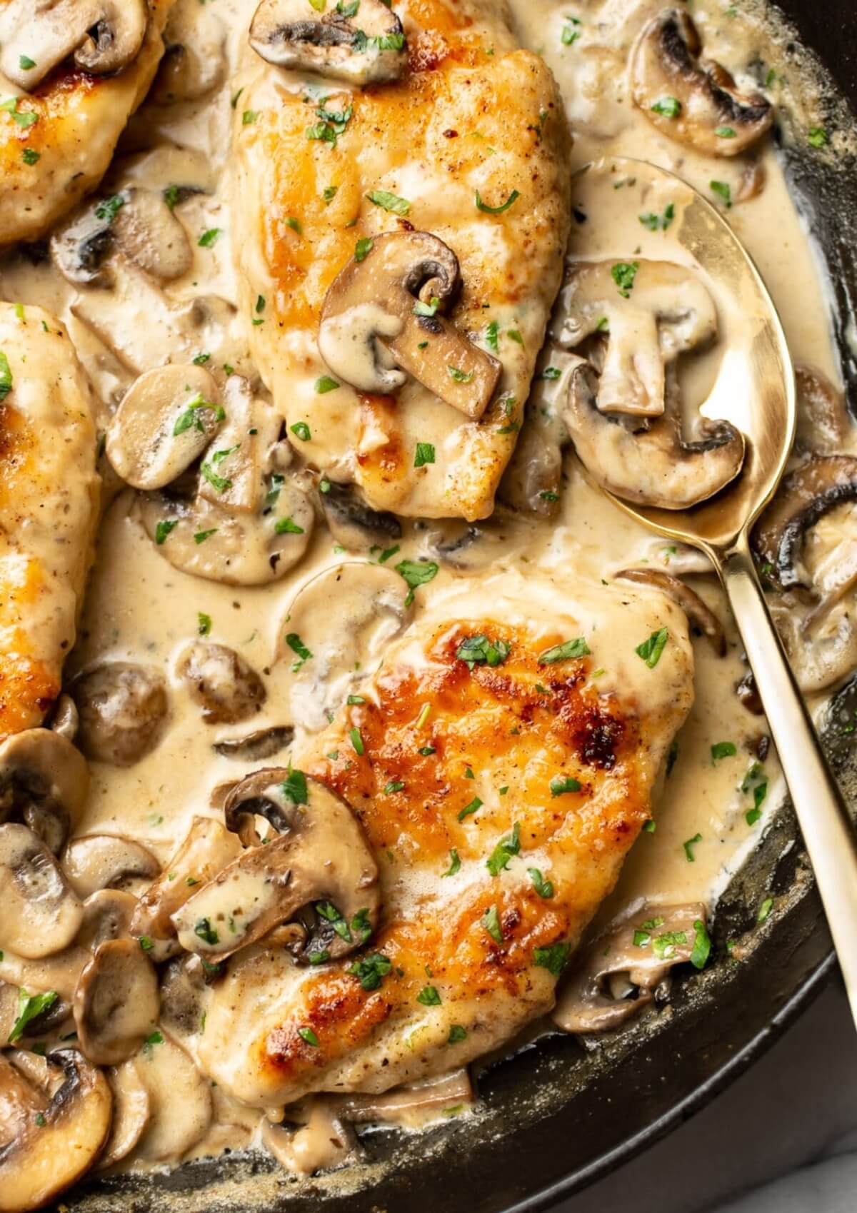 salt and lavender creamy chicken mushroom
