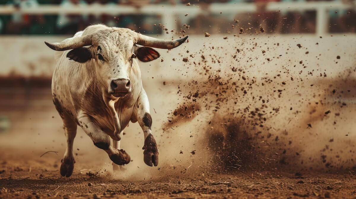 Shutterstock: Bulls running in the arena, spain, earth splashes flying