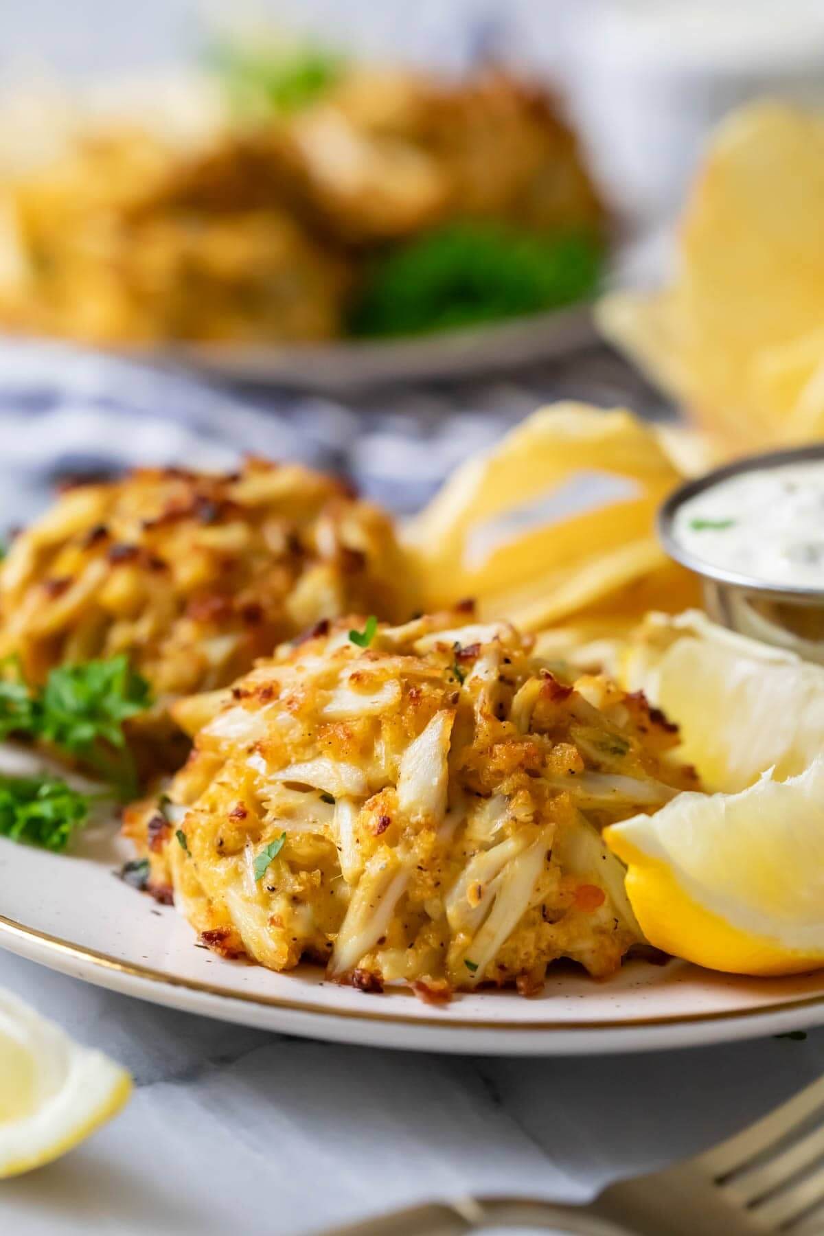 sugar spun run maryland crab cakes