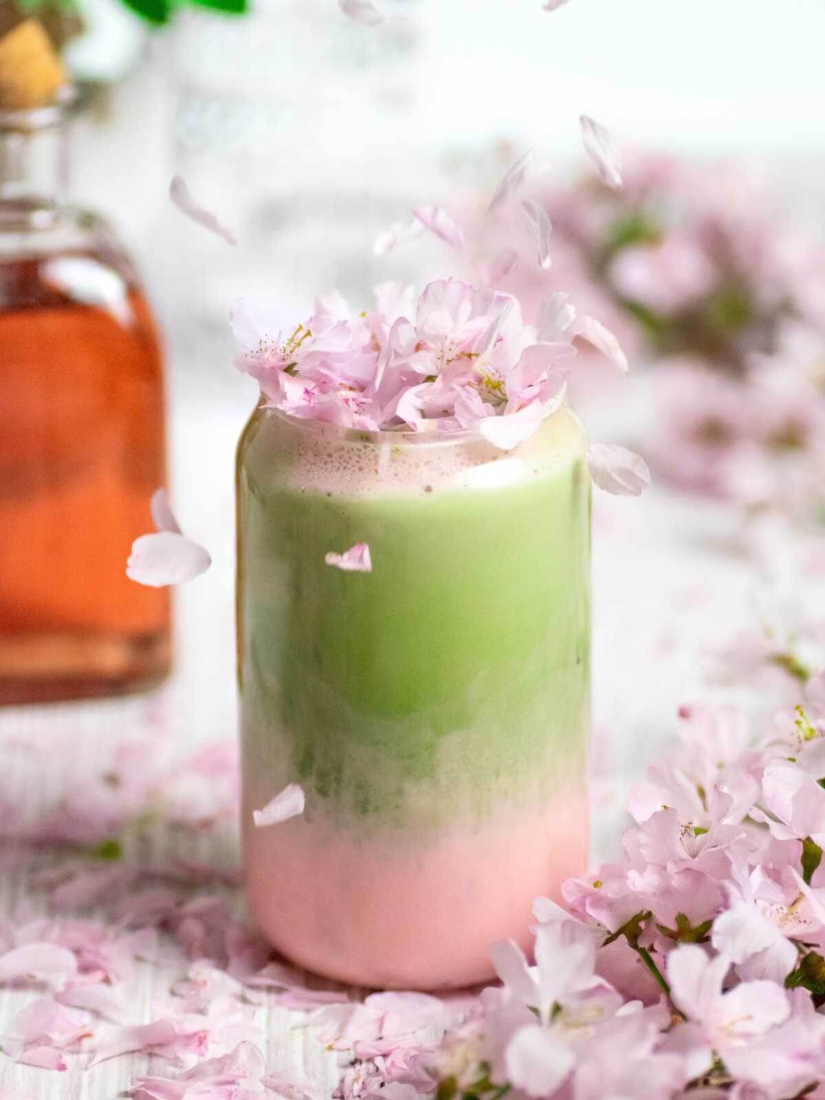 sugaryums cherry blossom matcha latte