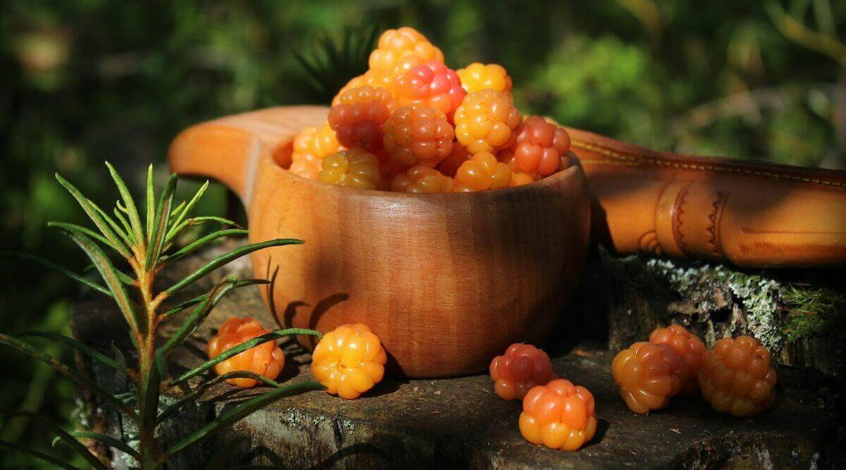 We Ranked Every Variety of Berry From Worst to Best