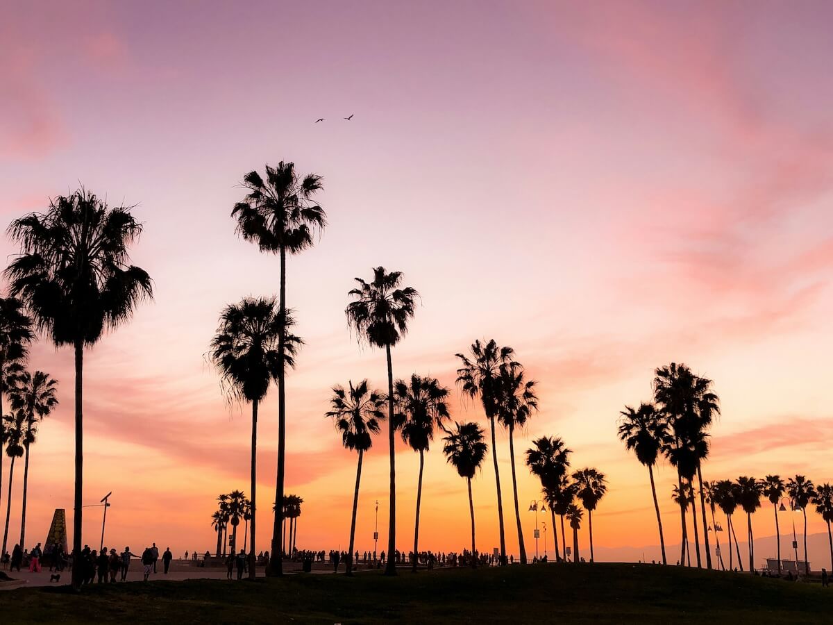 Unsplash: Palm trees against sunset by viviana rishe