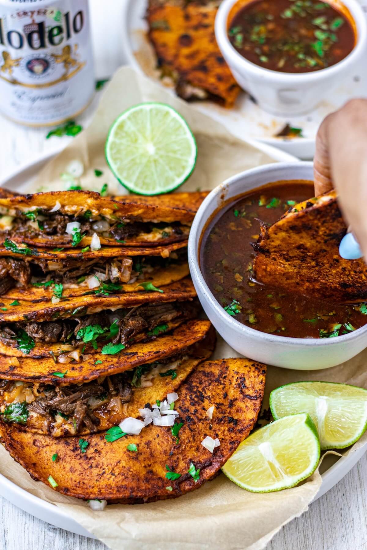 dash of color and spice quesabirria taocs